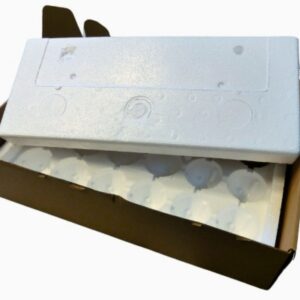 Boite de transport pour 12 oeufs de poules.